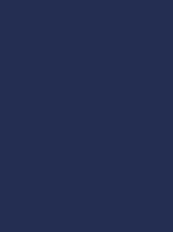 Color – Navy Blue