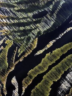 Color – Green Black Animal Stripe