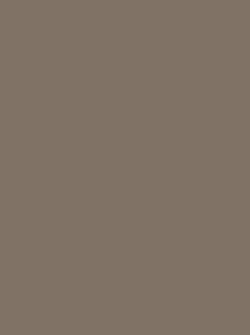Color – Coco Brown