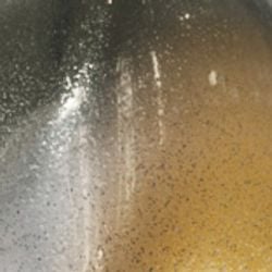 Farbe – Mossback Silver