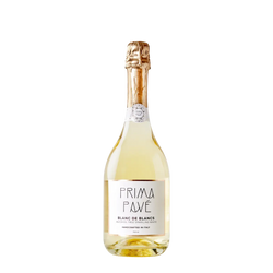 Vyberte si druh vína – Blanc de Blancs