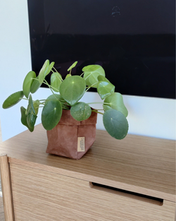 Farve – Cuoio