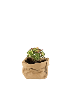 Farve – Natur