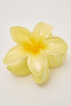 COLOUR – Lemon