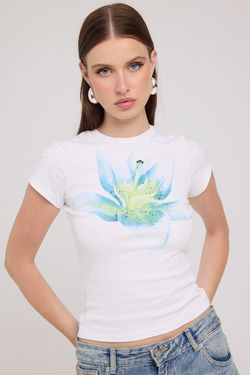 Ocean Mallow