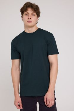 Colour – Pine