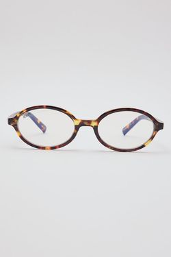 COLOUR – Turtle/Blue