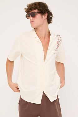 COLOUR – White