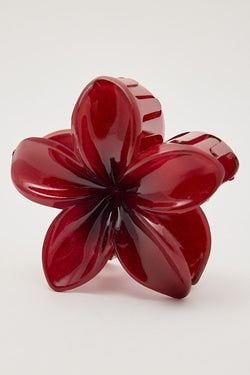 COLOUR – Burgundy