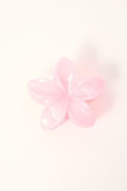 COLOUR – Peach