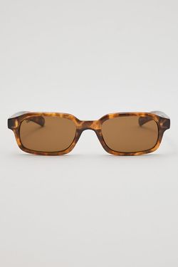 Turtle/Dark Brown