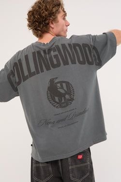 Collingwood Hunter