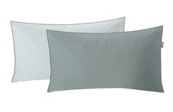 Farbe – Distel