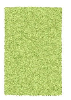 Farbe – Distel