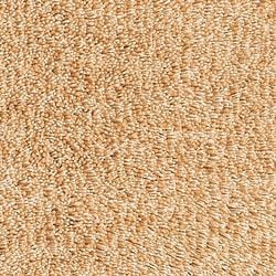 Farbe – Champagner