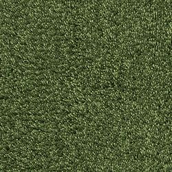 Farbe – Forest