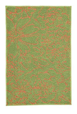 Kleur – Munt