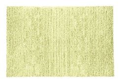 Farbe – Palme