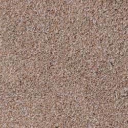 Farbe – Taupe