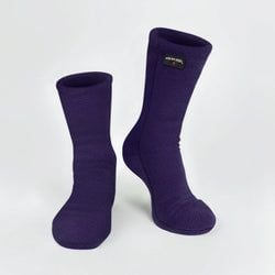 Color – Purple Rain