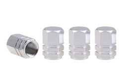 Variant: – Zilver
