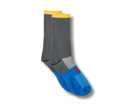 Color: – Gray