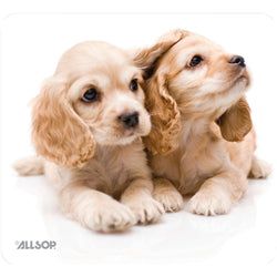 Style – Puppies