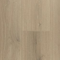 Color – Gris