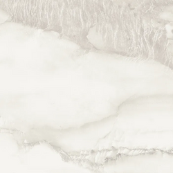 Color – Light Gray