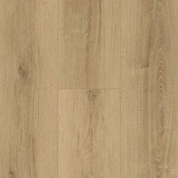 NextGen Colors – NP5504