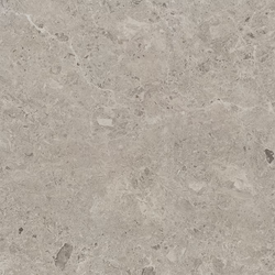 Color – Taupe