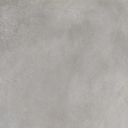 Color – Light Gray