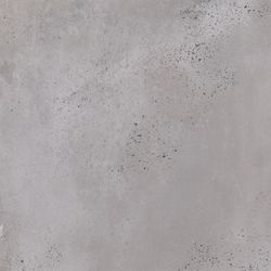 Color – Ash