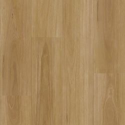 Classic Blackbutt