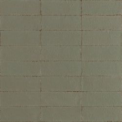 Color – Muschio