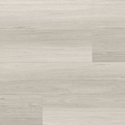 Style – Dapple Grey