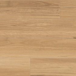 Coastal Blackbutt