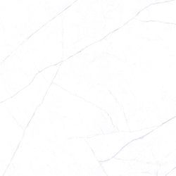 Color – Michelangelo