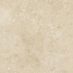 Color – Ivory