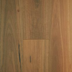 Oakleaf HD Colors – Spotted Gum