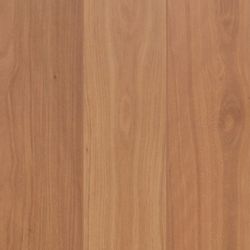 Oakleaf HD Colors – Brush Fox