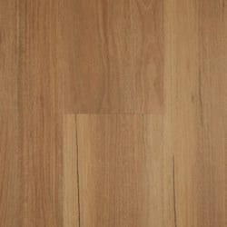 Color – Coastal Spotted Gum