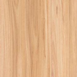 Coastal Blackbutt