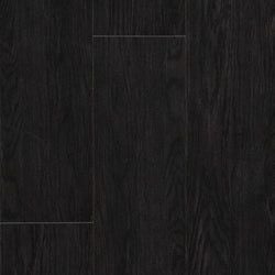 Forest Black Oak