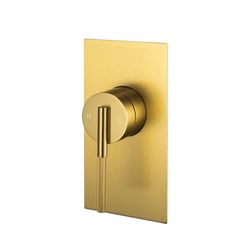 Brushed Gold