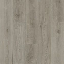 Arctic Grey
