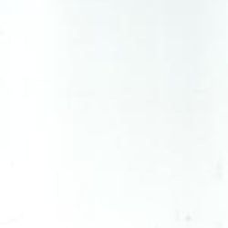 Color – White