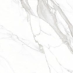 Color – Platino