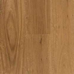 Coastal Blackbutt