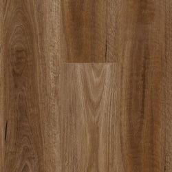Style – Spotted Gum